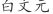 白***元