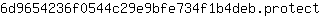 6***t
