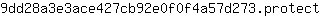 9***t