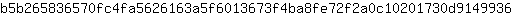 b***6