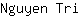 N***i