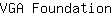 V***n