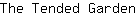 T***n