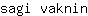 s***n