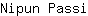 N***i