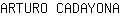 A***A