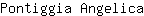 P***a