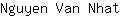 N***t