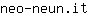 n***t