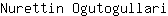 N***i