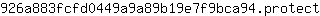 9***t