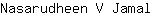 N***l