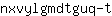 n***t