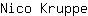 N***e
