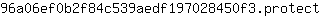 9***t