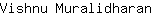 V***n