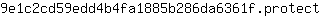 9***t