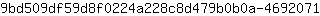 9***1