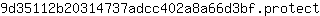 9***t