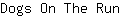 D***n