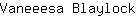 V***k