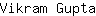V***a