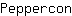 P***n