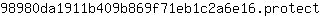 9***t
