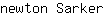 n***r