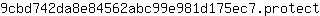 9***t