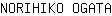 N***A