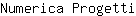 N***i