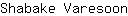 S***n