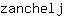 z***j