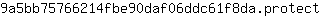 9***t