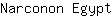 N***t