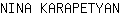 N***N