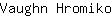 V***o