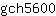 g***0