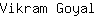 V***l