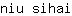 n***i