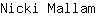 N***m