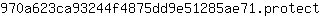 9***t