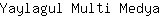 Y***a