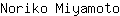 N***o