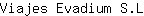 V***L