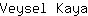 V***a