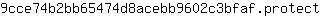 9***t