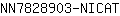 N***T
