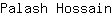 P***n